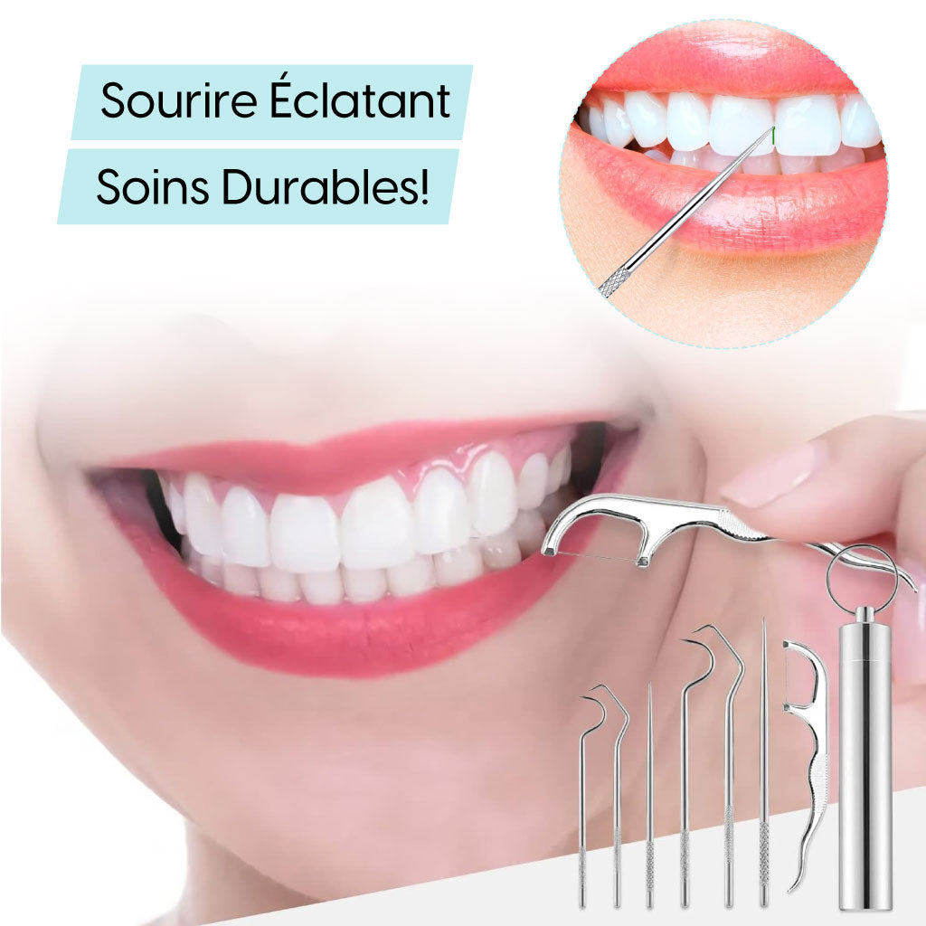 Kit De Soins Dentaires En Métal, Ensemble De Nettoyage De Tartre Et Cure-dents Réutilisables En Acier Inoxydable