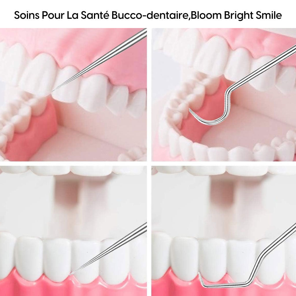 Kit De Soins Dentaires En Métal, Ensemble De Nettoyage De Tartre Et Cure-dents Réutilisables En Acier Inoxydable